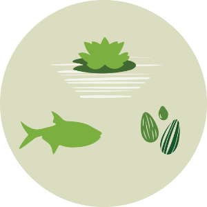 Seed, aquatic plants, fish